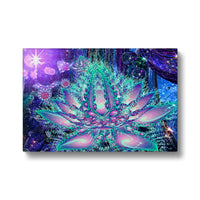 Lona Beautifica Lotus Eco