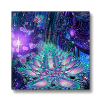 Lona Beautifica Lotus Eco