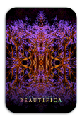 Beautifica Flor 3x2" Pegatina
