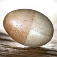 Wood Egg Shaker Instrument